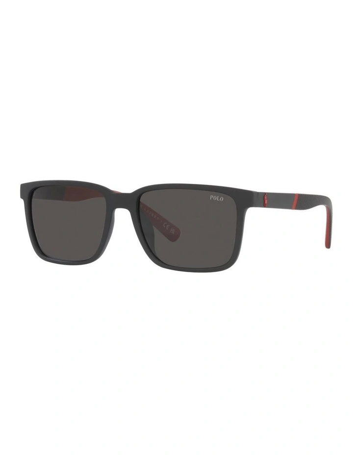 0PH4189U Sunglasses in Matte Black