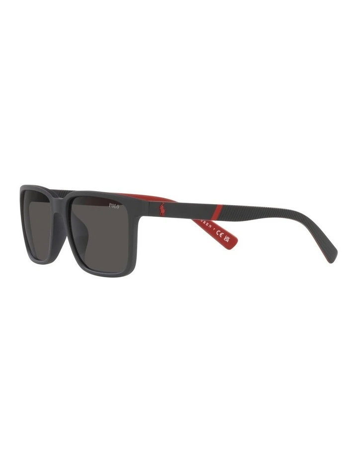 0PH4189U Sunglasses in Matte Black