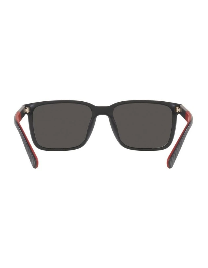 0PH4189U Sunglasses in Matte Black