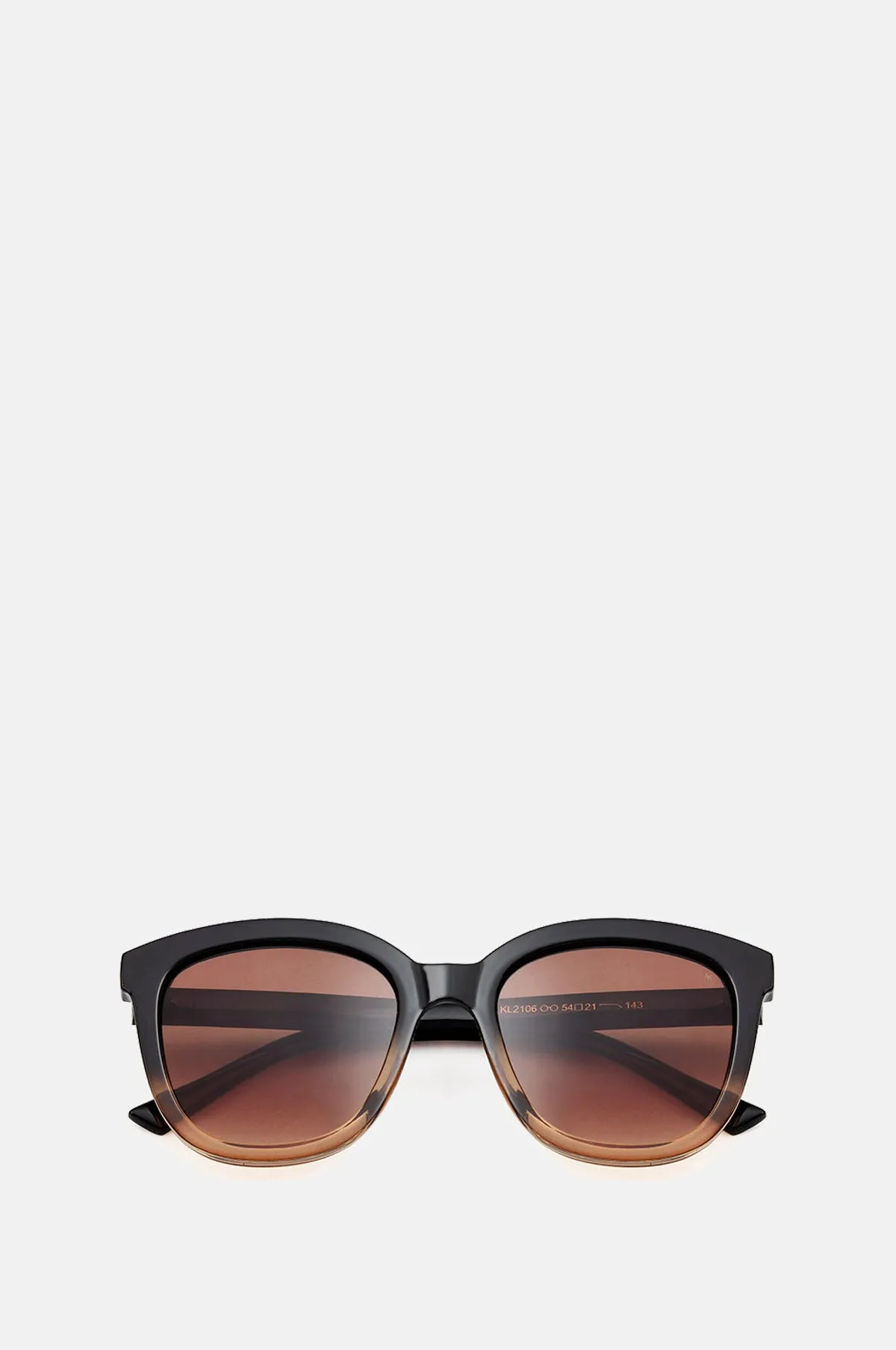 Billy Sunglasses Black/Brown Transparent