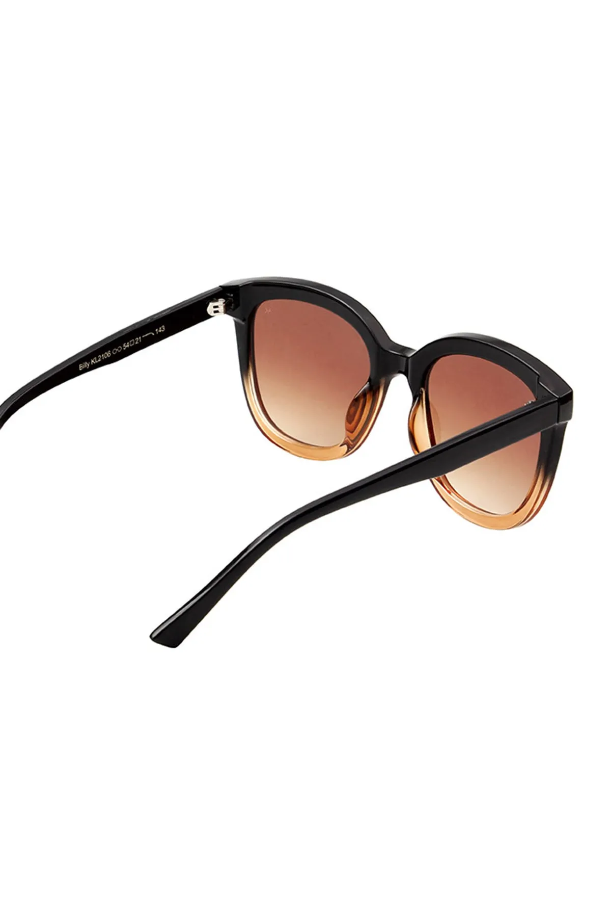 Billy Sunglasses Black/Brown Transparent