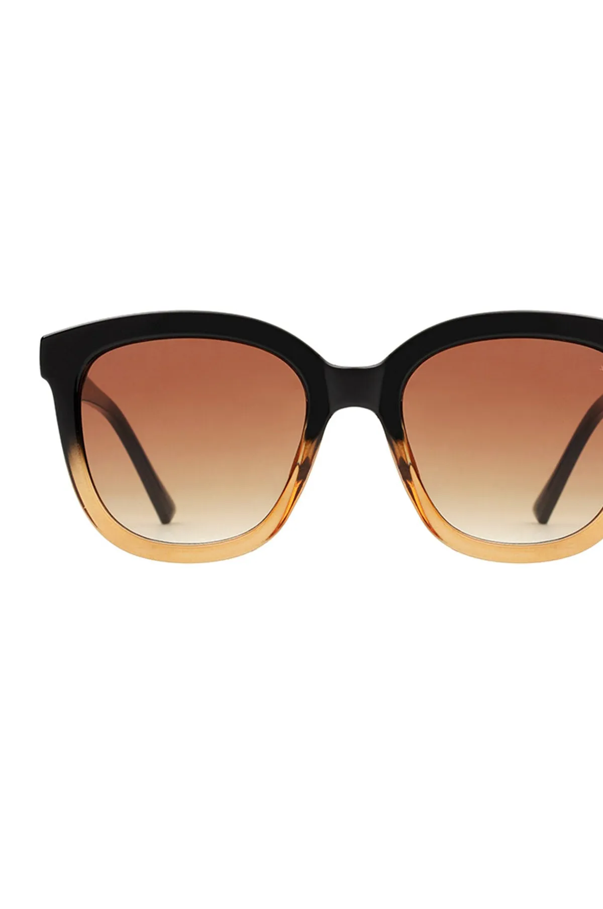 Billy Sunglasses Black/Brown Transparent