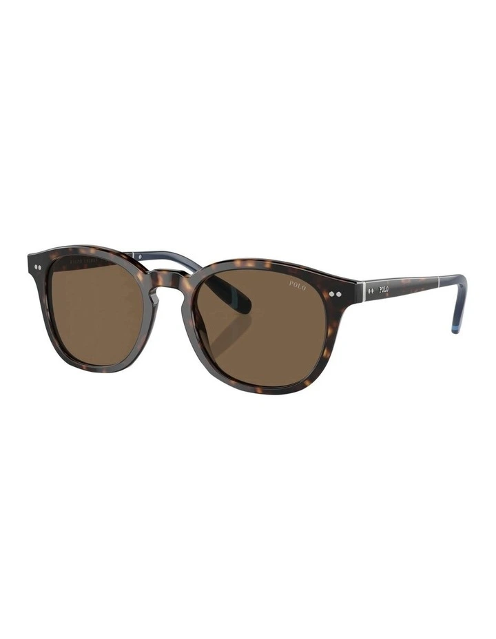 PH4206 Sunglasses in Brown