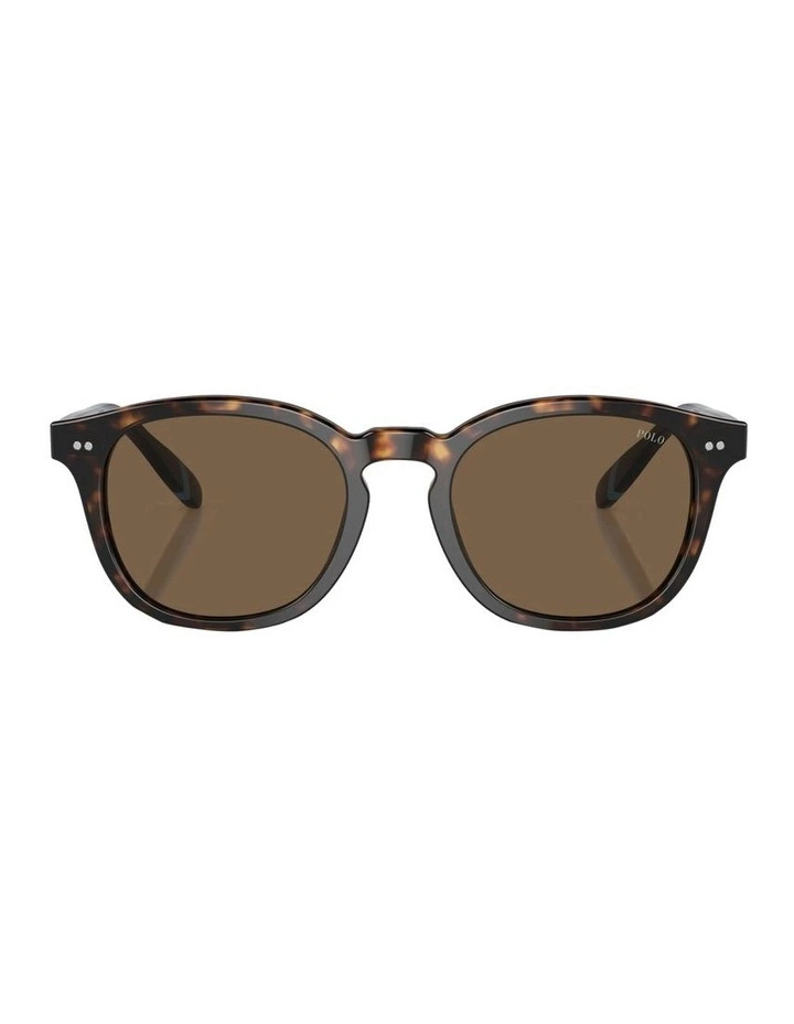 PH4206 Sunglasses in Brown