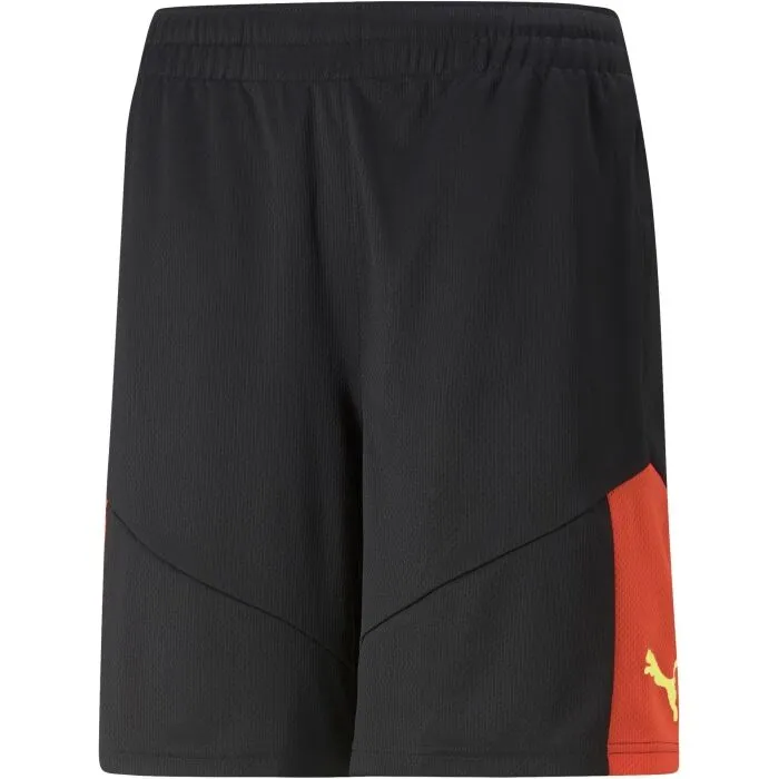 Puma TEAMFINAL TRAINING SHORTS