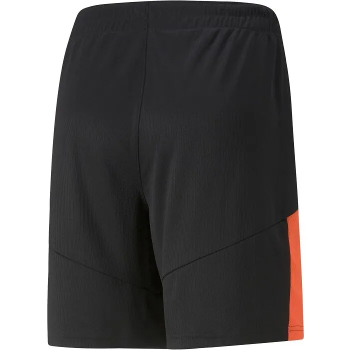 Puma TEAMFINAL TRAINING SHORTS