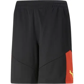 Puma TEAMFINAL TRAINING SHORTS