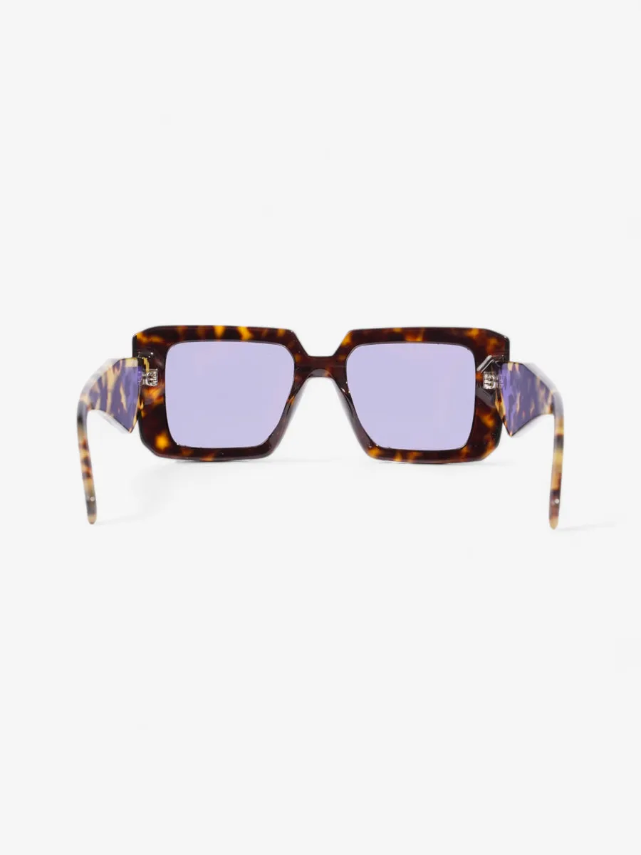 Symbole Sunglasses  Tortoise  Acetate 140mm