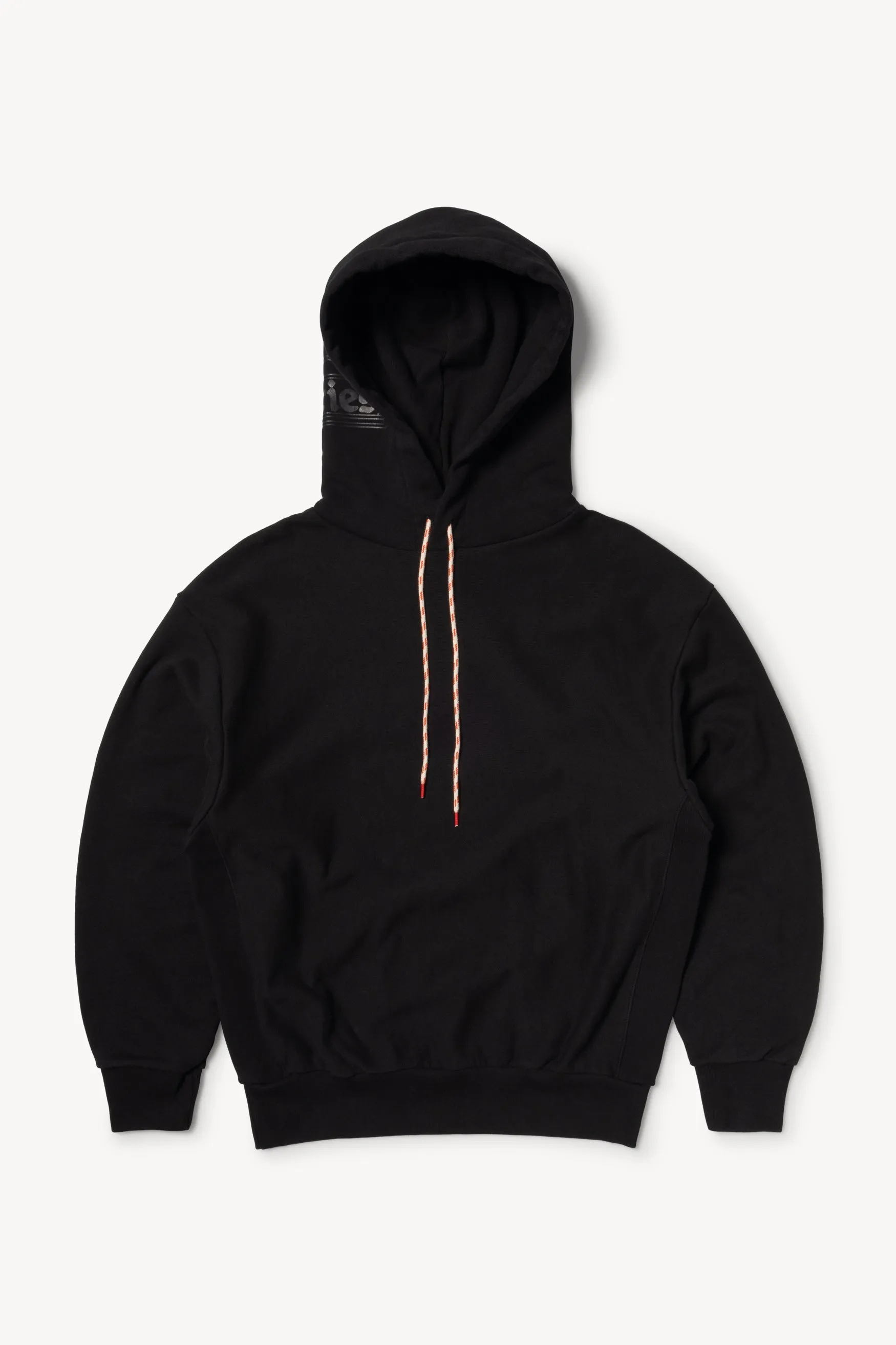 Temple Hood Hoodie